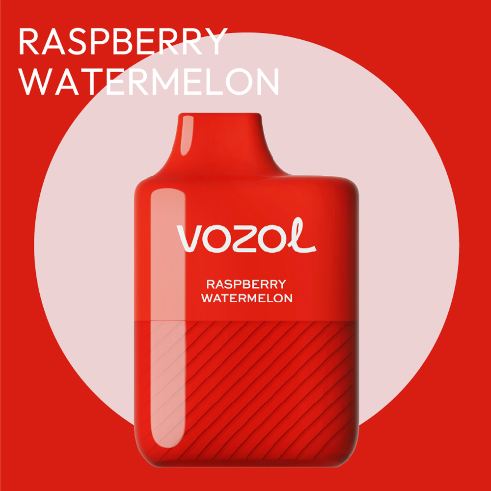 Vozol Alien 5000 Raspberry Watermelon