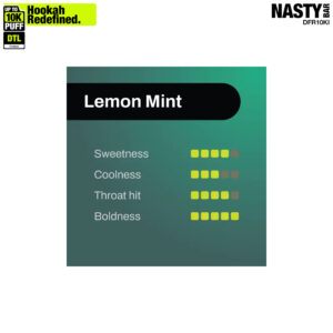 NASTY Hooqa DFR10Ki Shisha Lemon Mint 💨 ‣ Disposable Vape👍